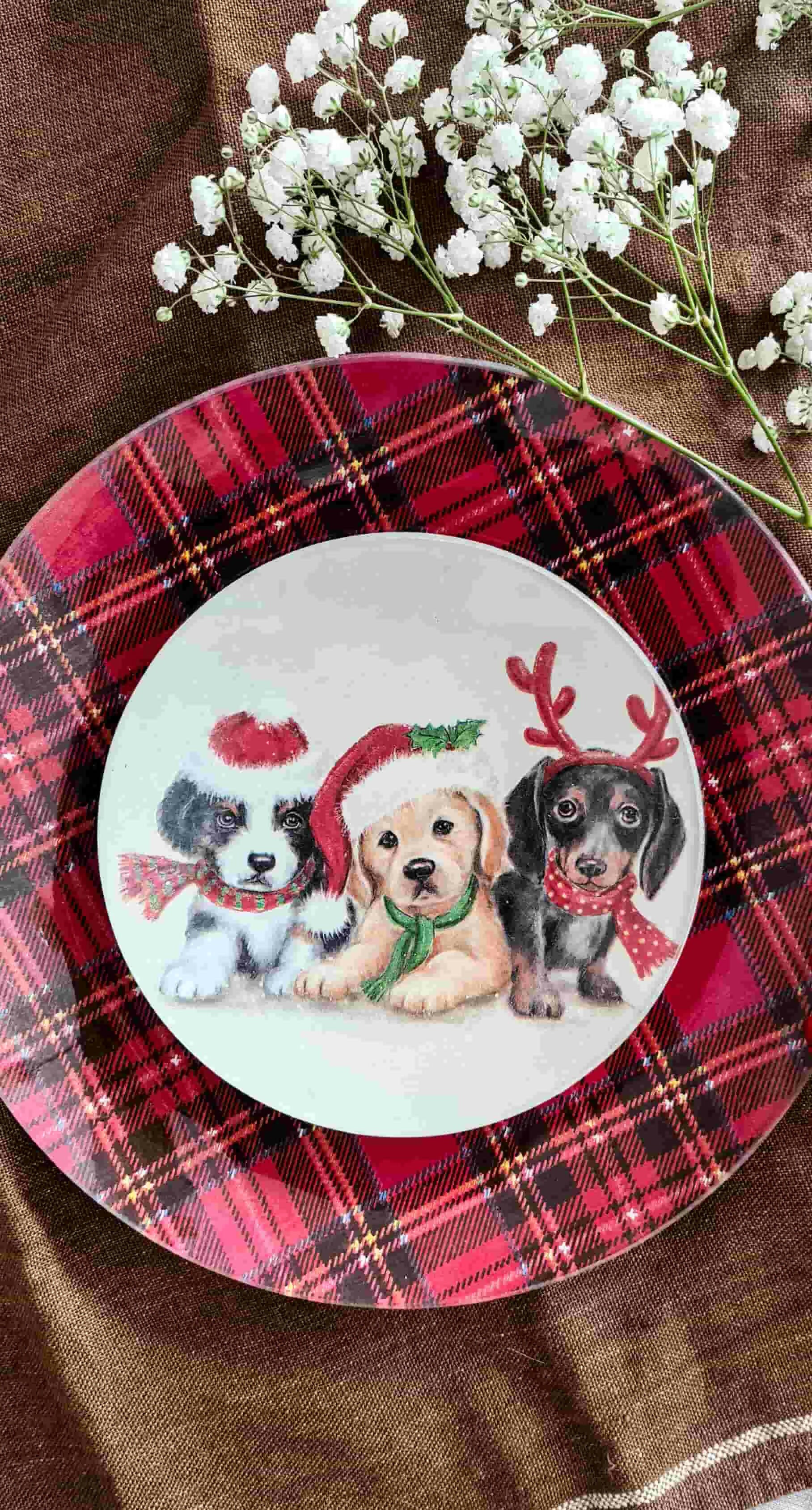 Conjunto Platos redondo Navidad 3 cachorros