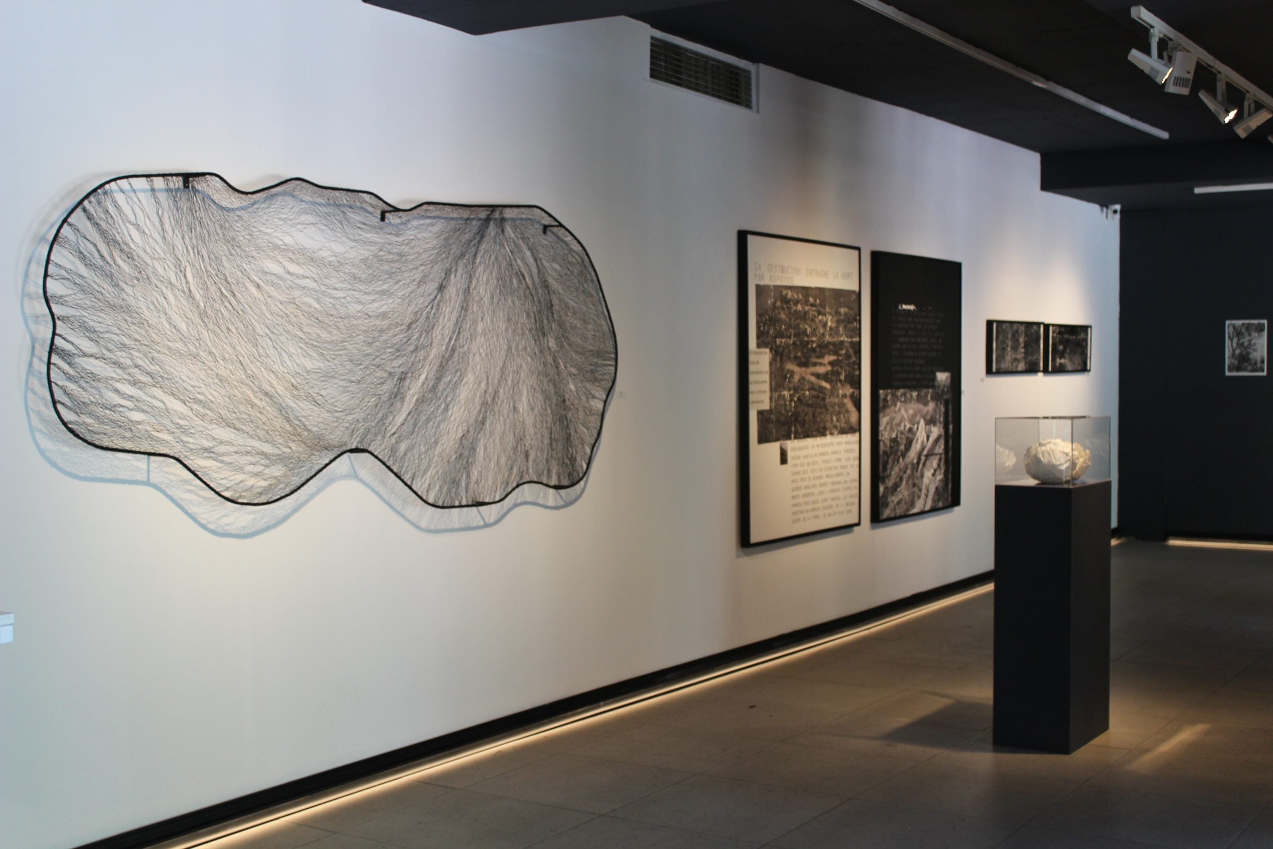  Galería Artespacio