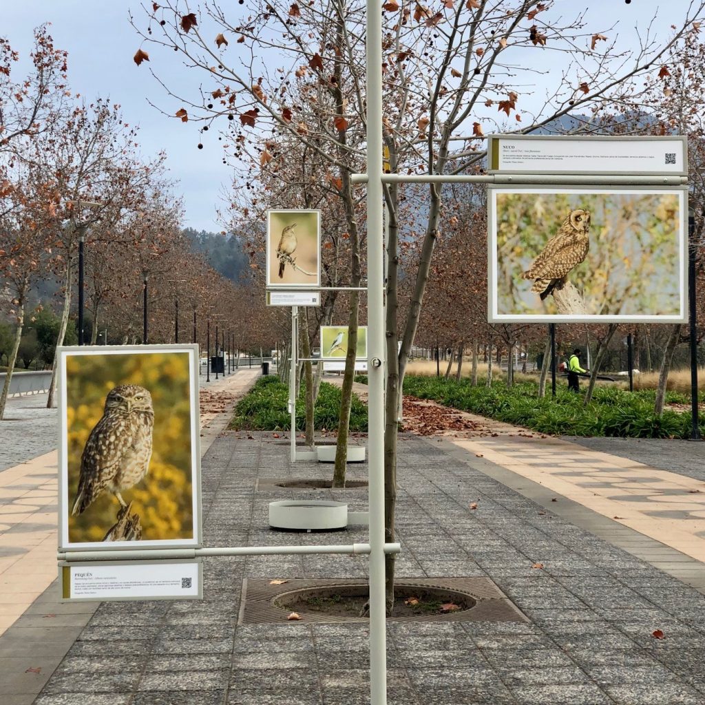  Parque Bicentenario Vitacura