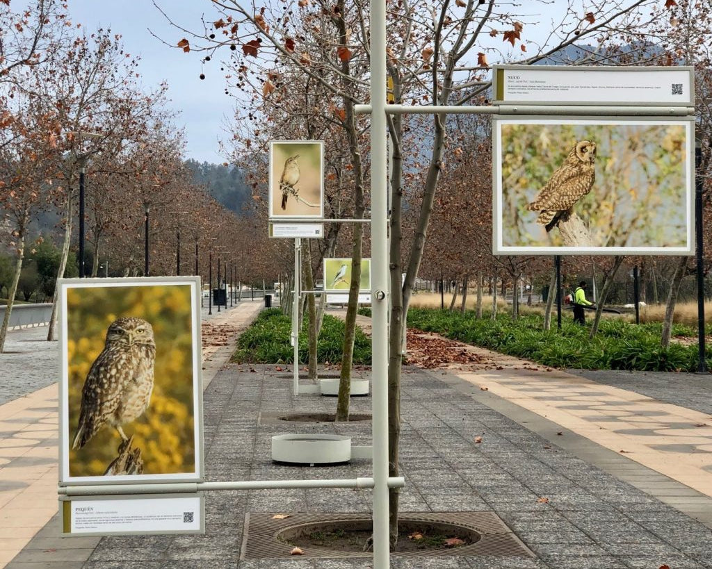  Parque Bicentenario Vitacura