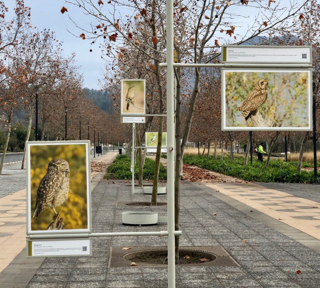  Parque Bicentenario Vitacura