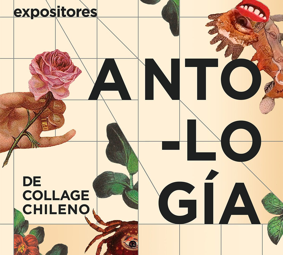  18 Y 19 de diciembre