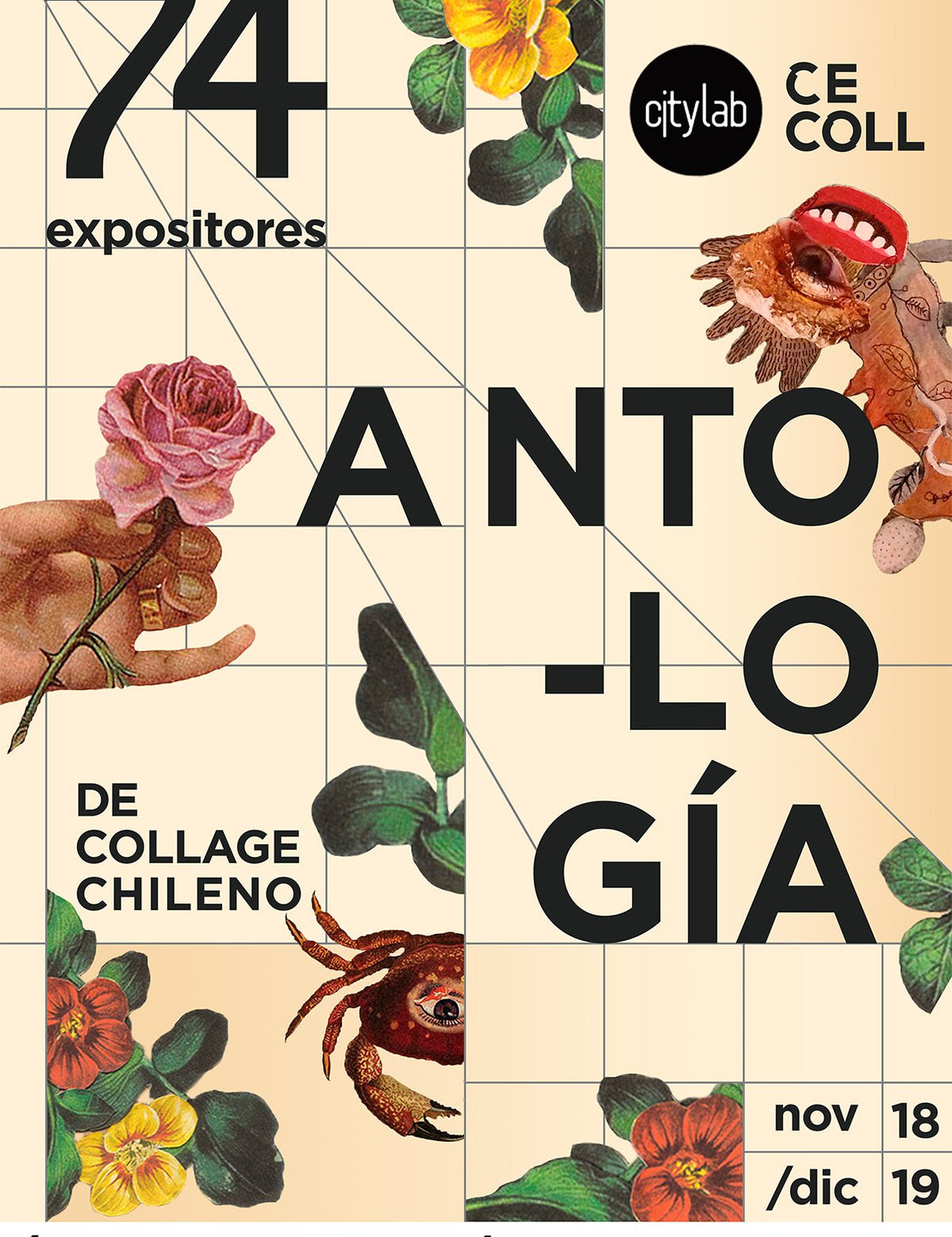  18 Y 19 de diciembre