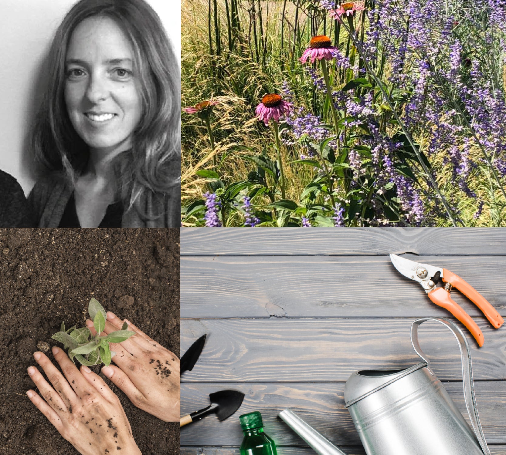 Taller de Introducción al Paisajismo con Macarena Calvo - 18 de marzo al 29 de abril