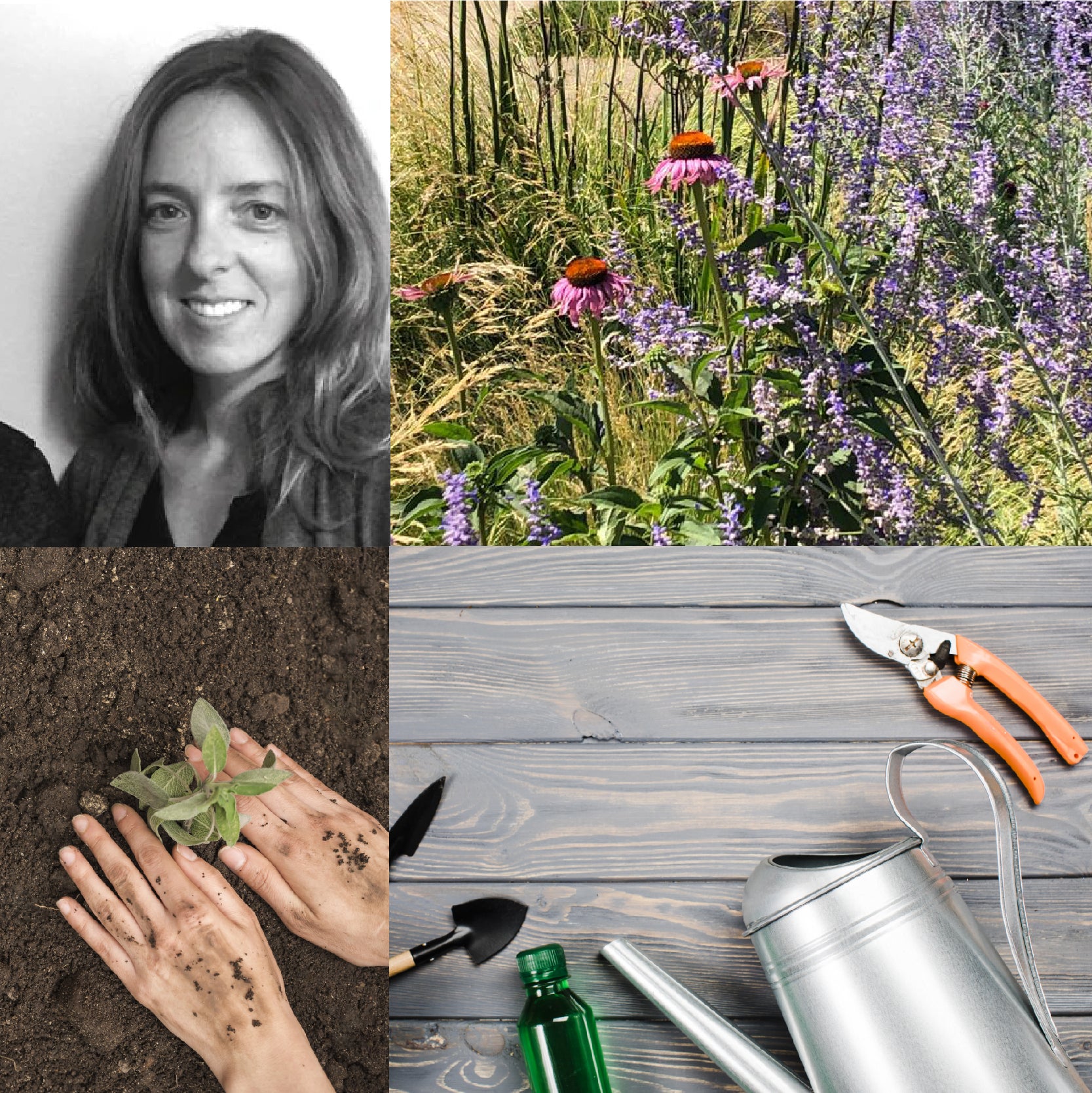 Taller de Introducción al Paisajismo con Macarena Calvo - 18 de marzo al 29 de abril