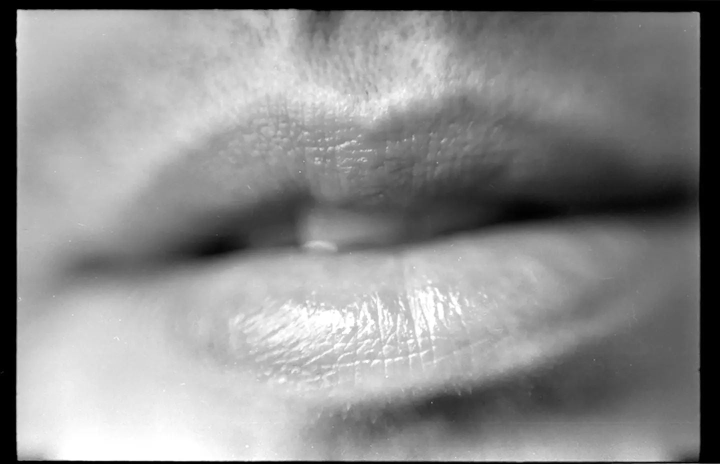  Factoría Santa Rosa