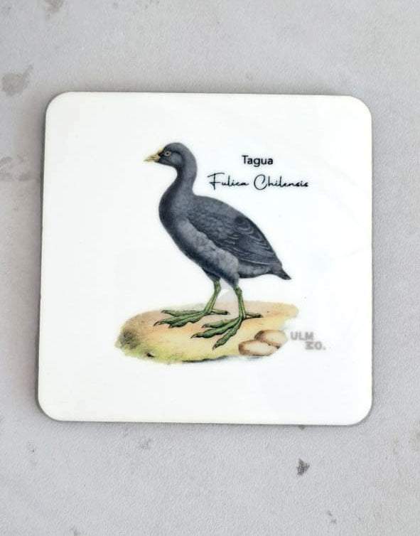 Set de 6 Posavasos Cuadrados Aves de Chile - Claudio Gay
