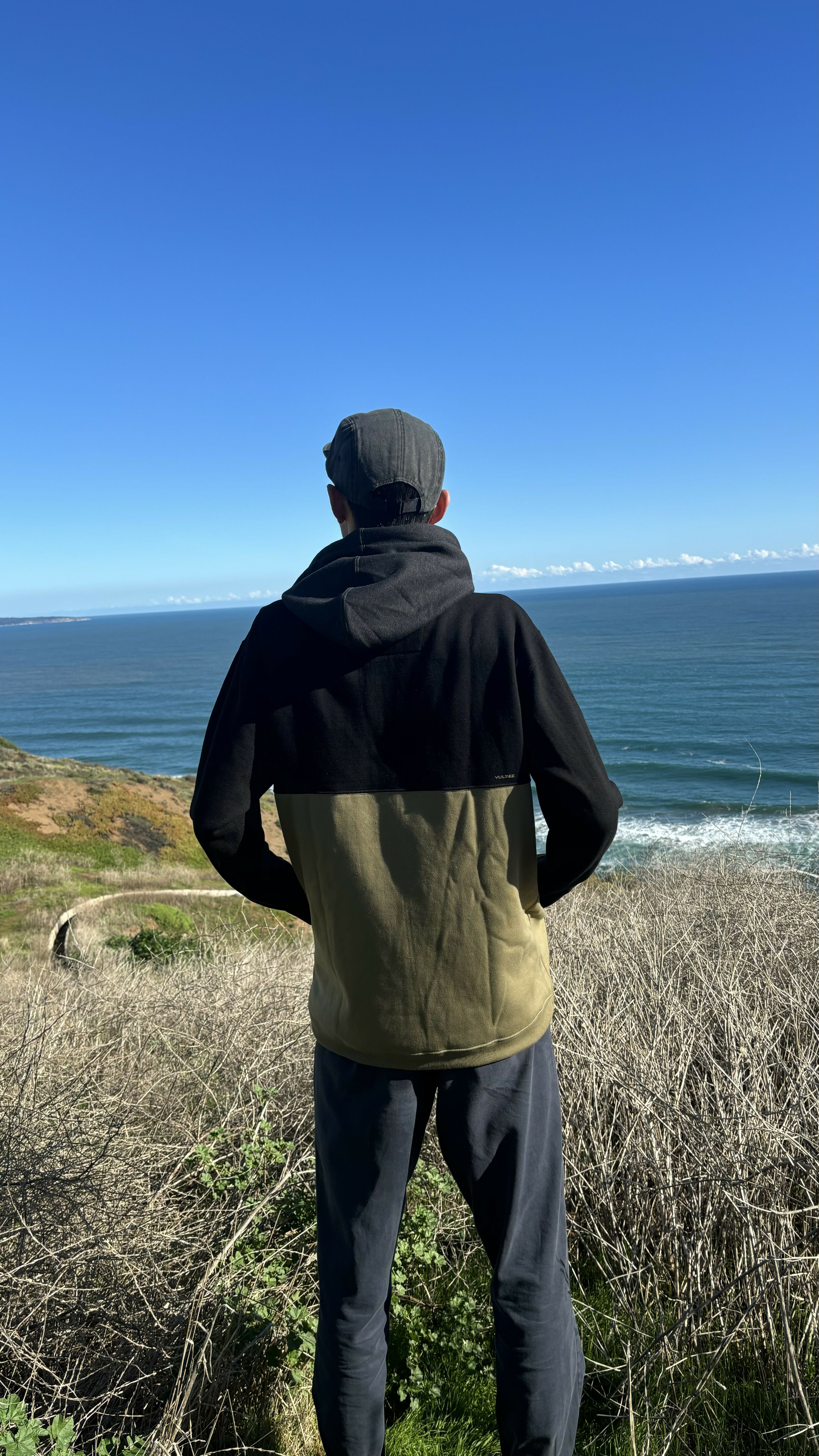 polerón hoodie hombre multicolor