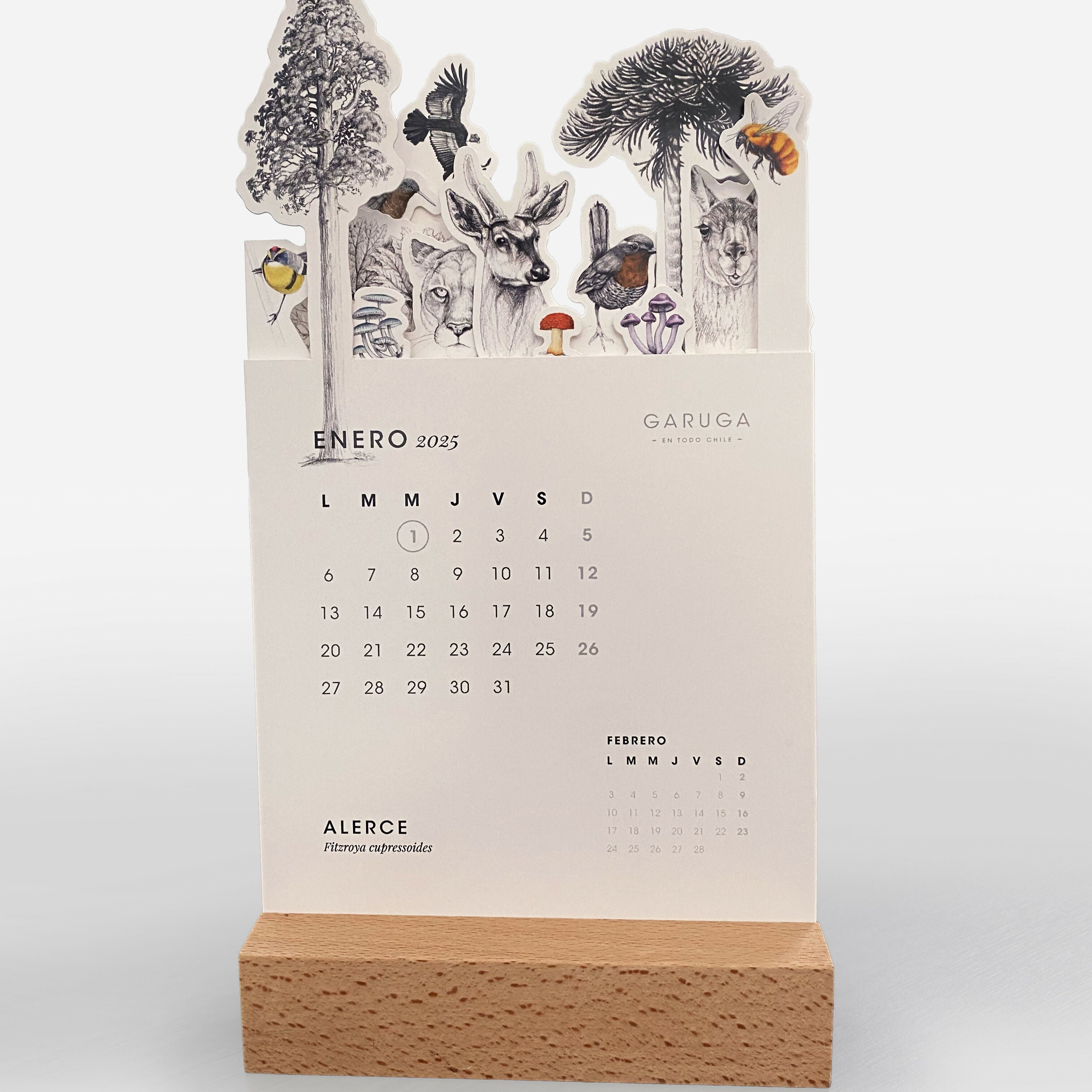 CALENDARIO 2026 - Creado en Chile