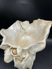 Cerámica decorativa colección primavera