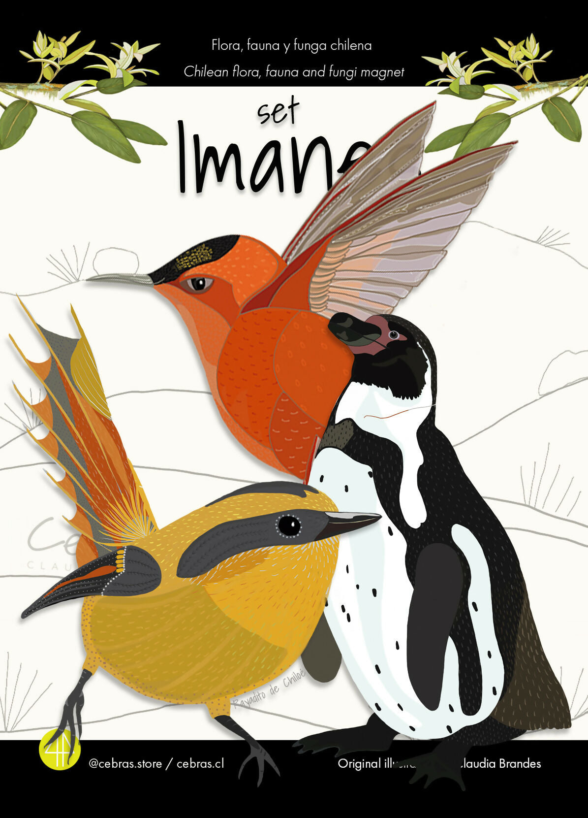 Set imanes rayadito, pinguino, picaflor