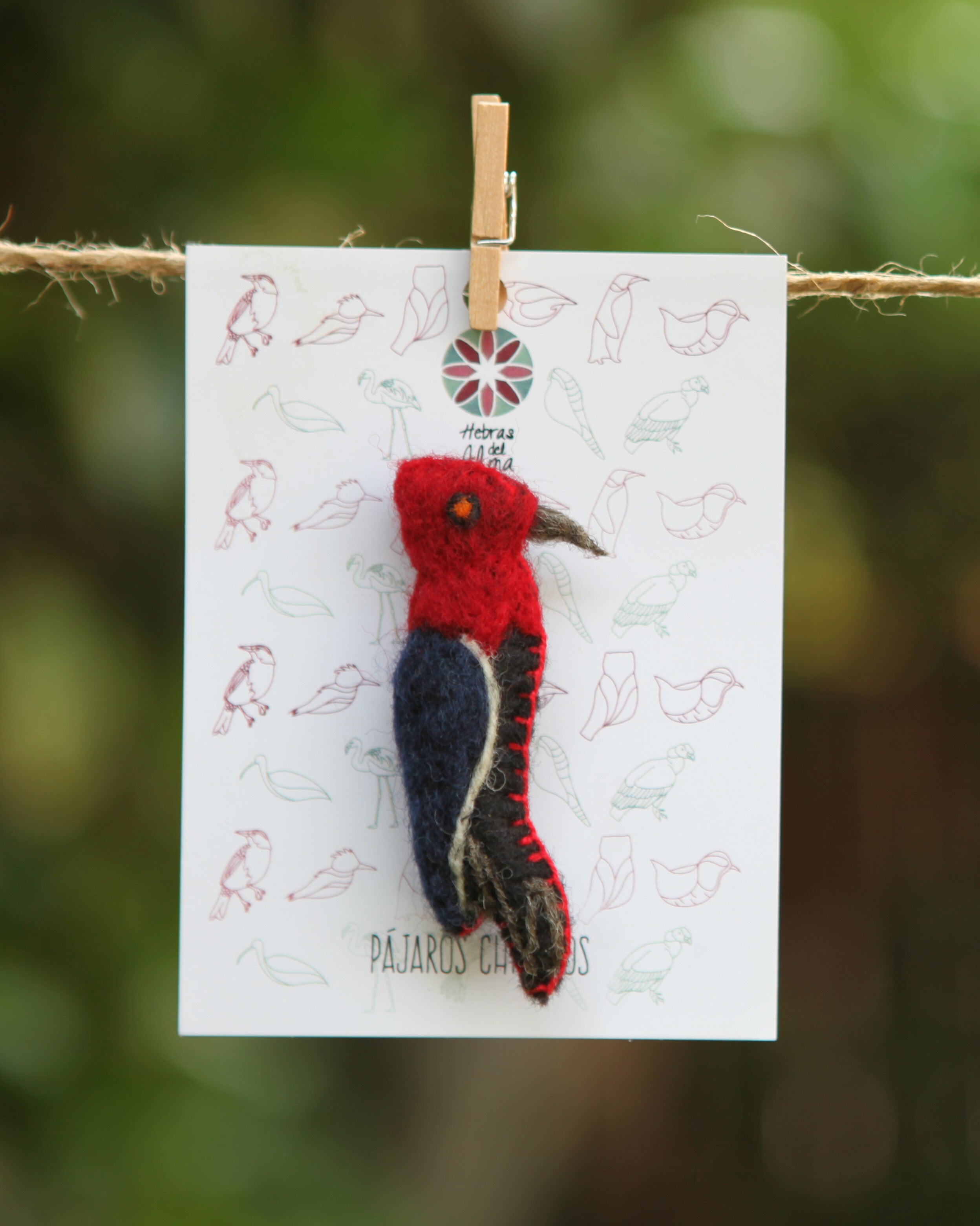 Pajarito Pin Carpintero negro