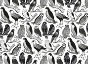 Set  32 individuales de papel Flora y Fauna chilena I