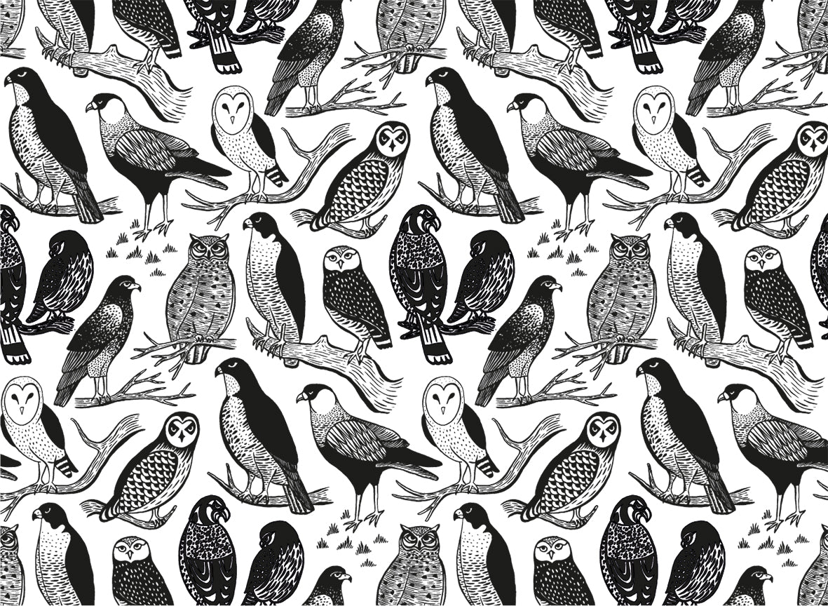 Set  32 individuales de papel Flora y Fauna chilena I