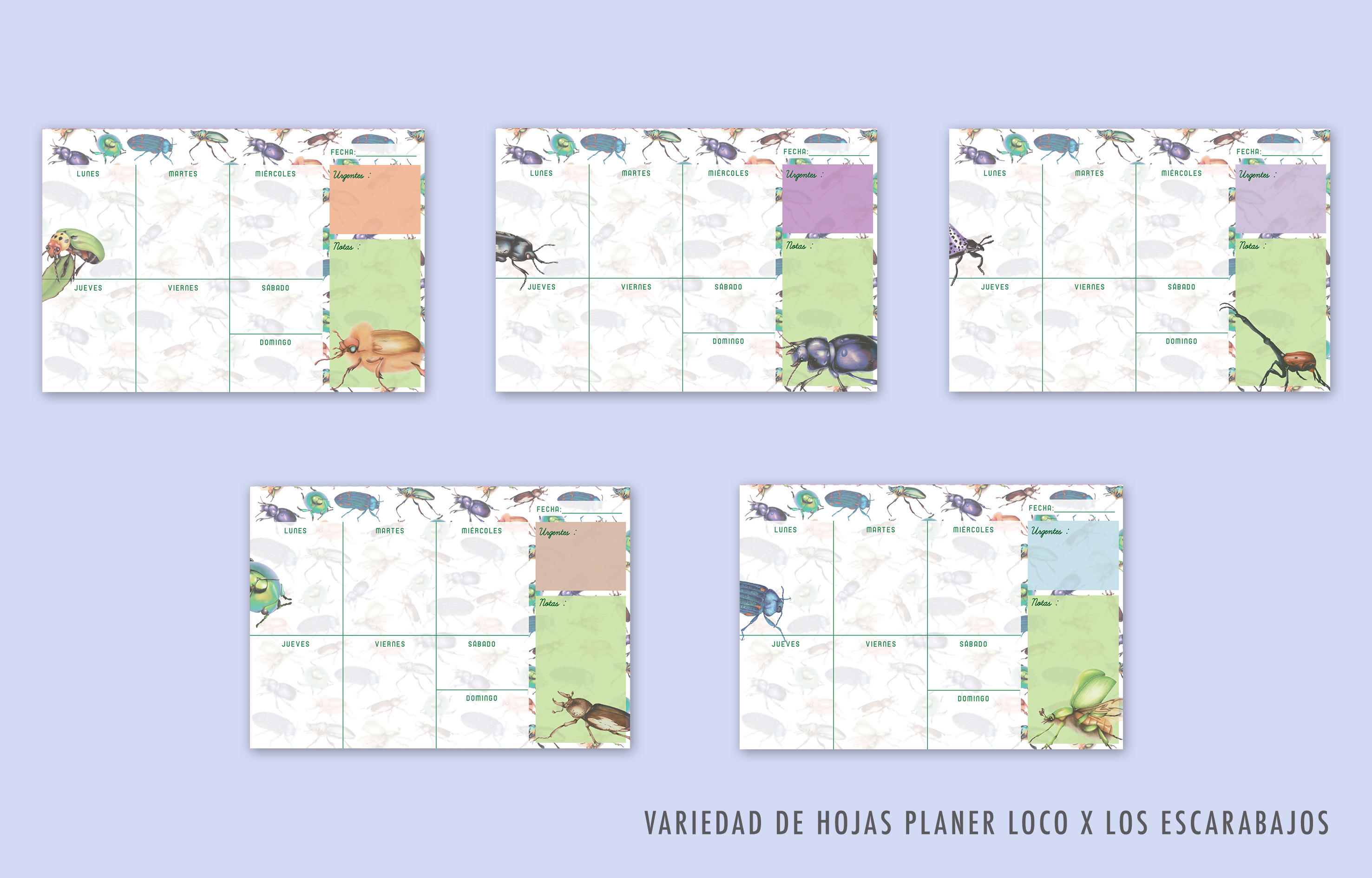 PolinizadoresTodos-03