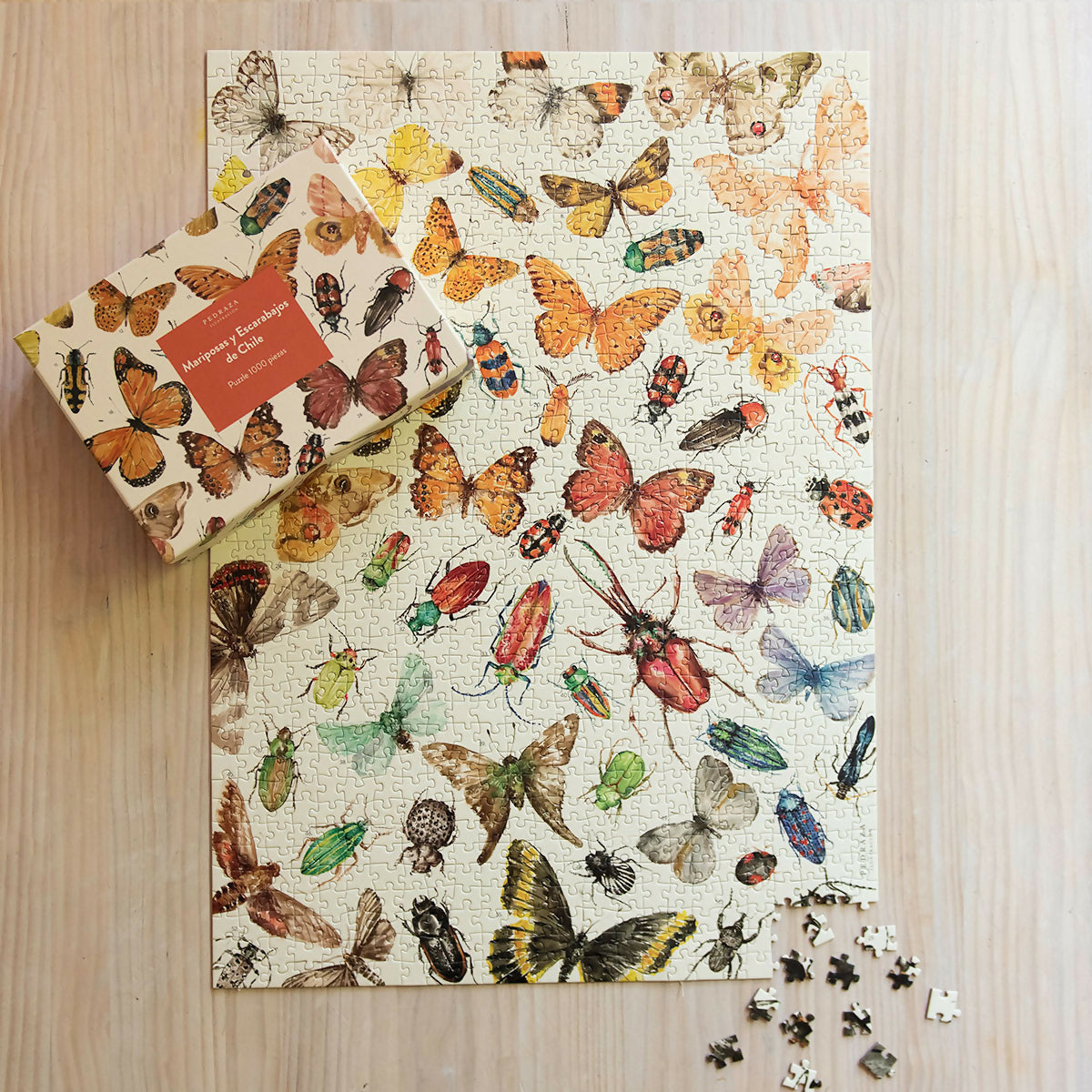 Puzzle Mariposas y Escarabajos de Chile