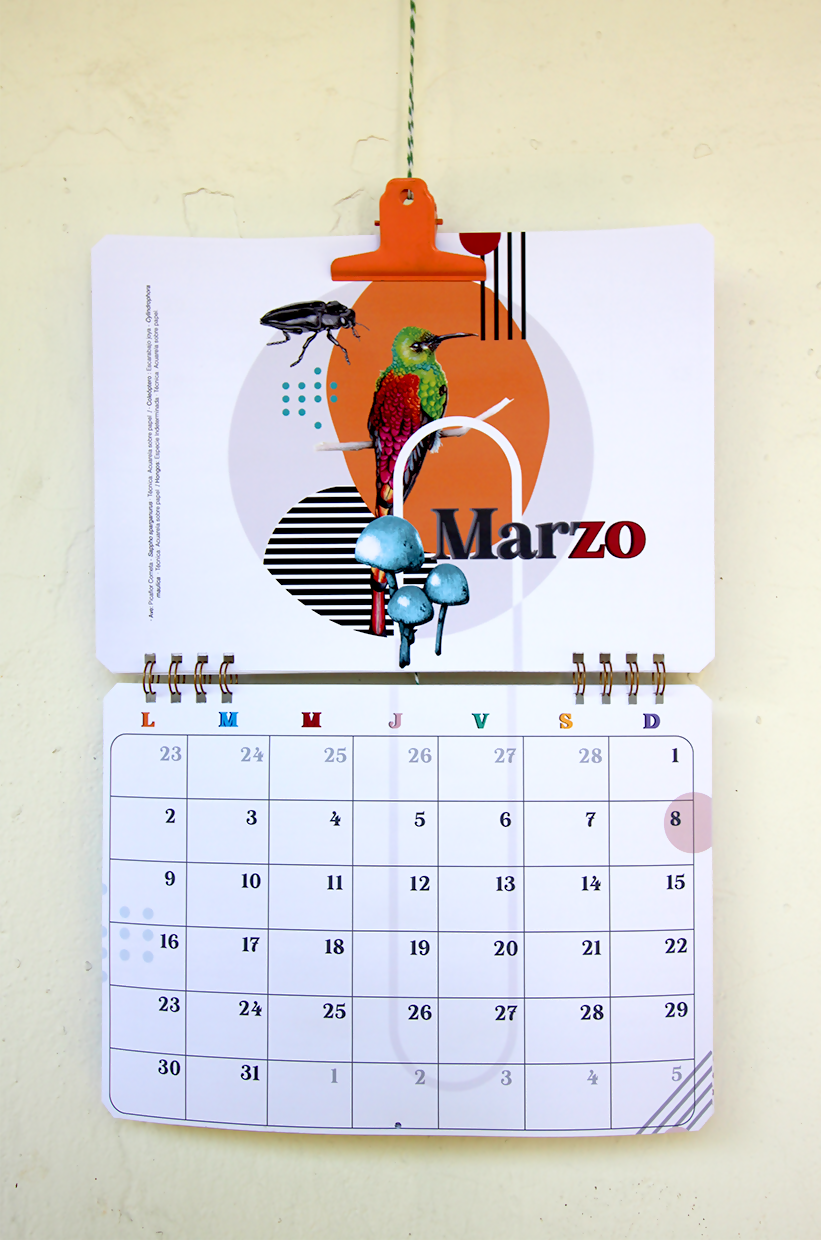 Calendario Muro 2026-2027