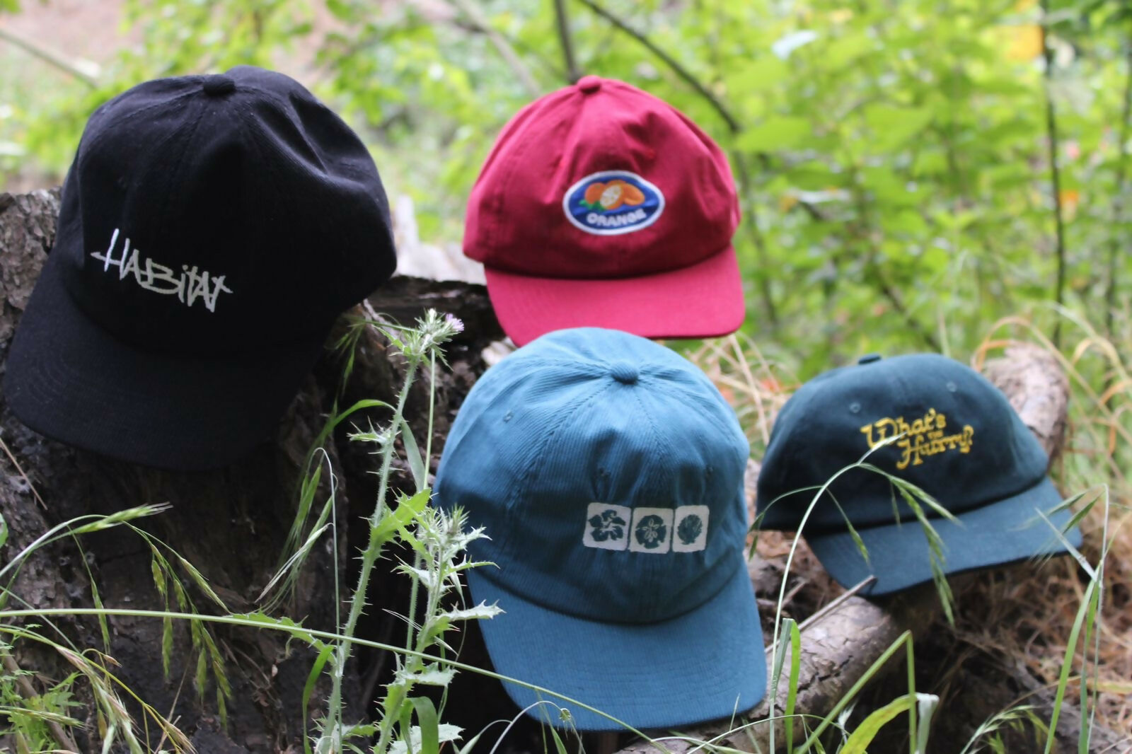 Jockey Conchas- Azul cotele