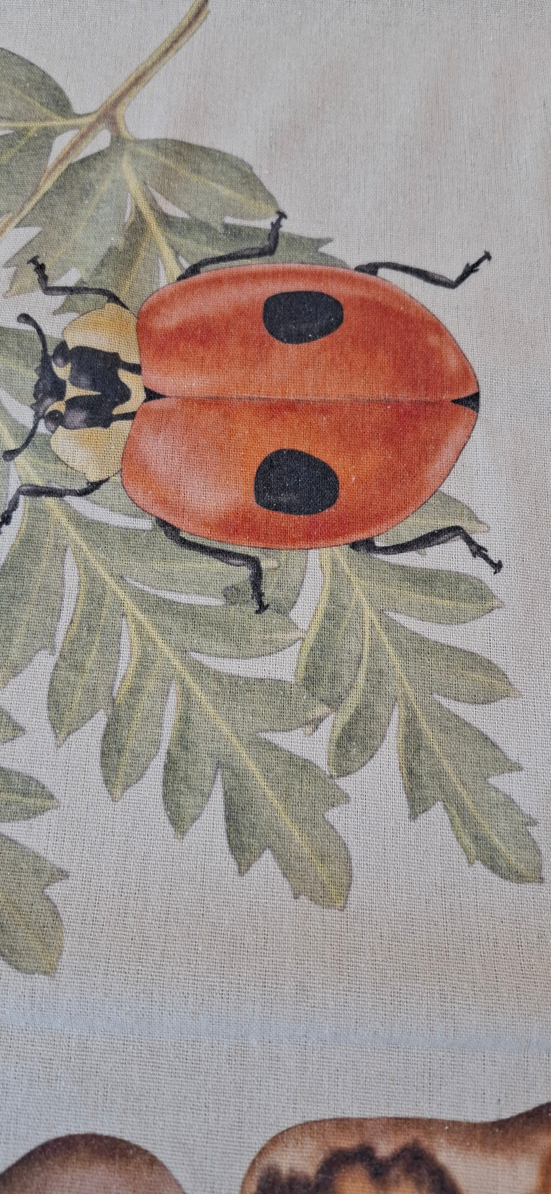 Camino de Mesa PUELO – Colección “Creado x Caro Ruiz”