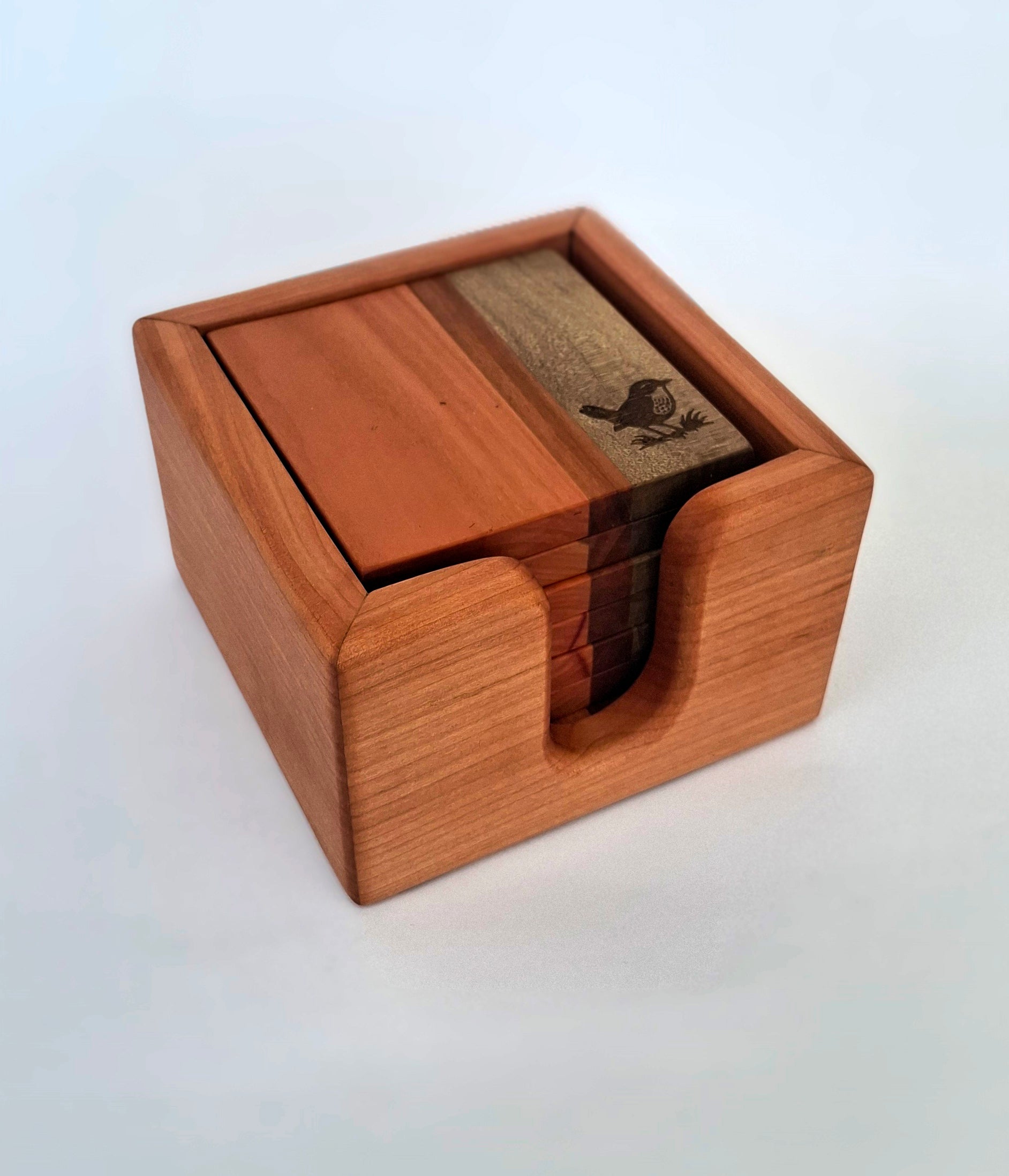 POSAVASOS PALENA - AVES CHILENAS