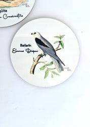 Set de 6 Posavasos Aves de Chile | ULMMO