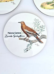 Set de 6 Posavasos Aves de Chile | ULMMO