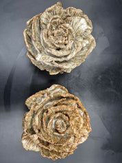 Flores cerámica decorativa