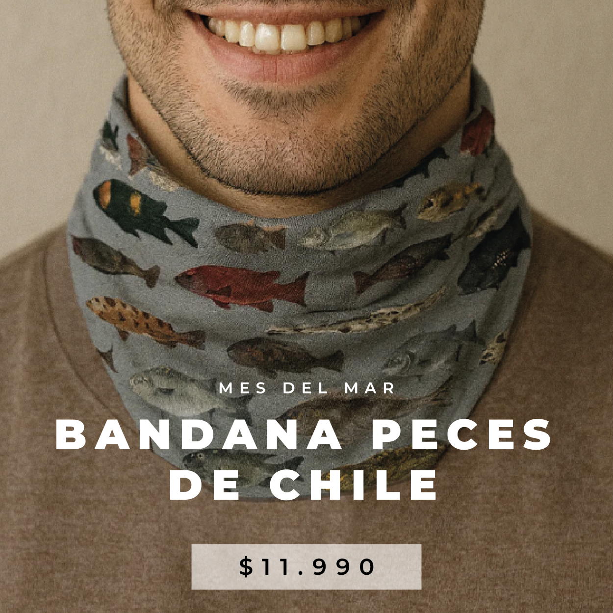 32_Mesa_de_trabajo_1_copia_22.png