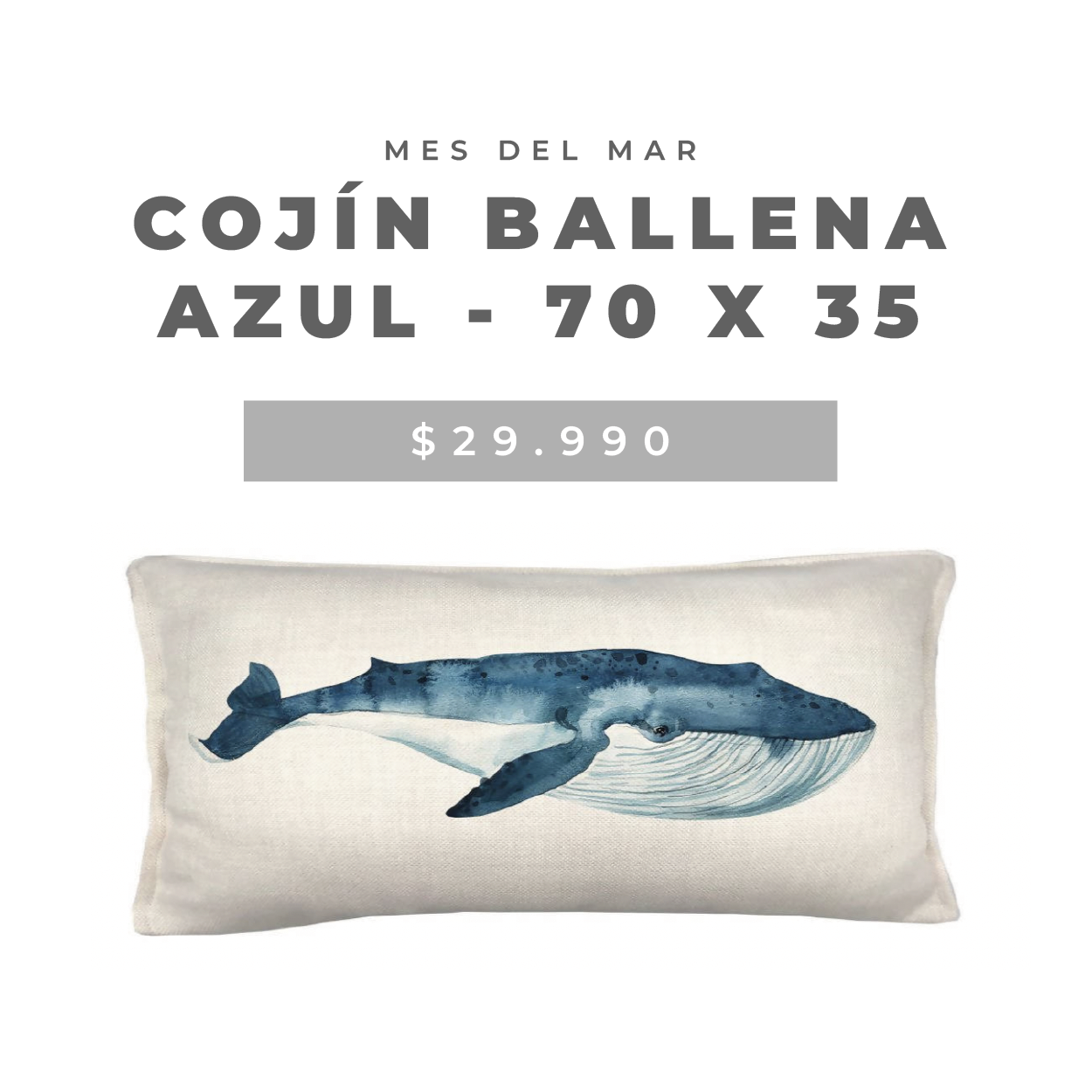 33_Mesa_de_trabajo_1_copia_23.png