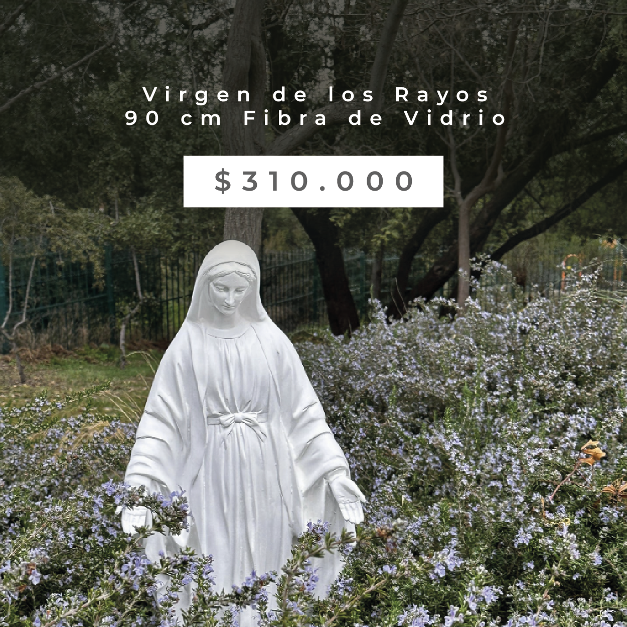38v_Mesa_de_trabajo_1_copia_39.png