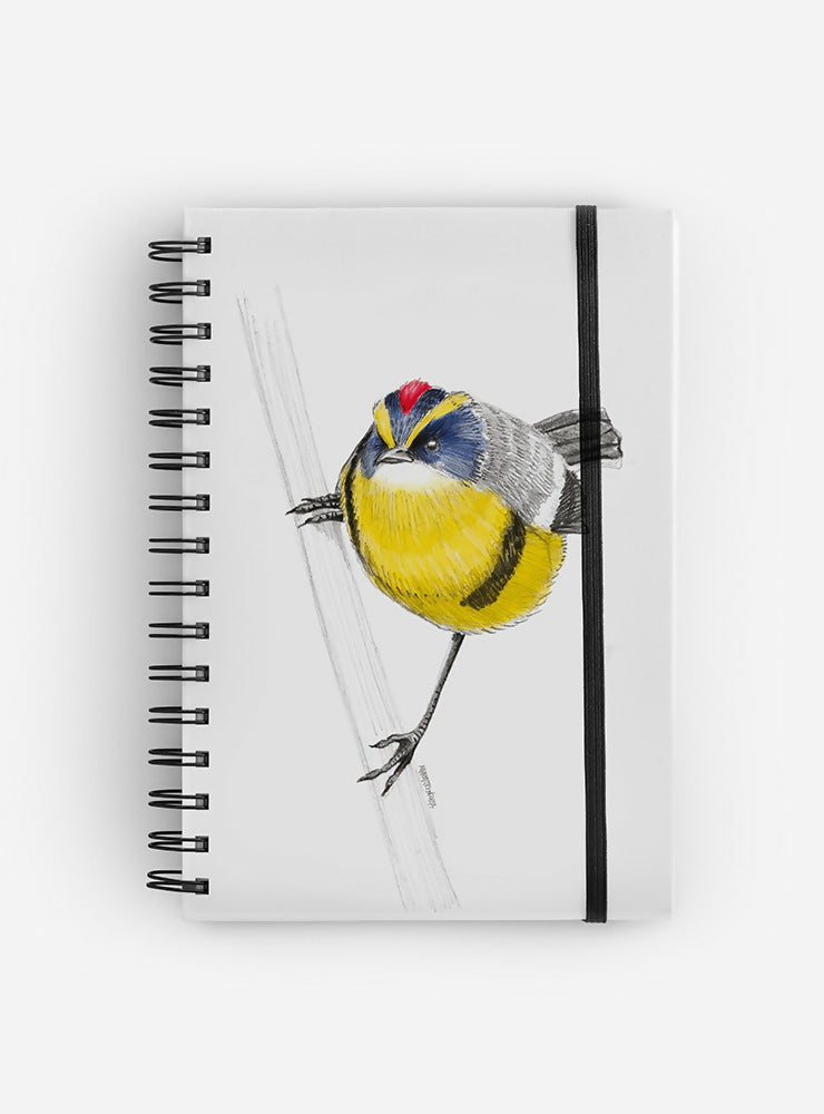 CUADERNO SIETE COLORES