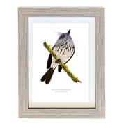 CUADRO CACHUDITO1 A1 VGO con paspartu copia