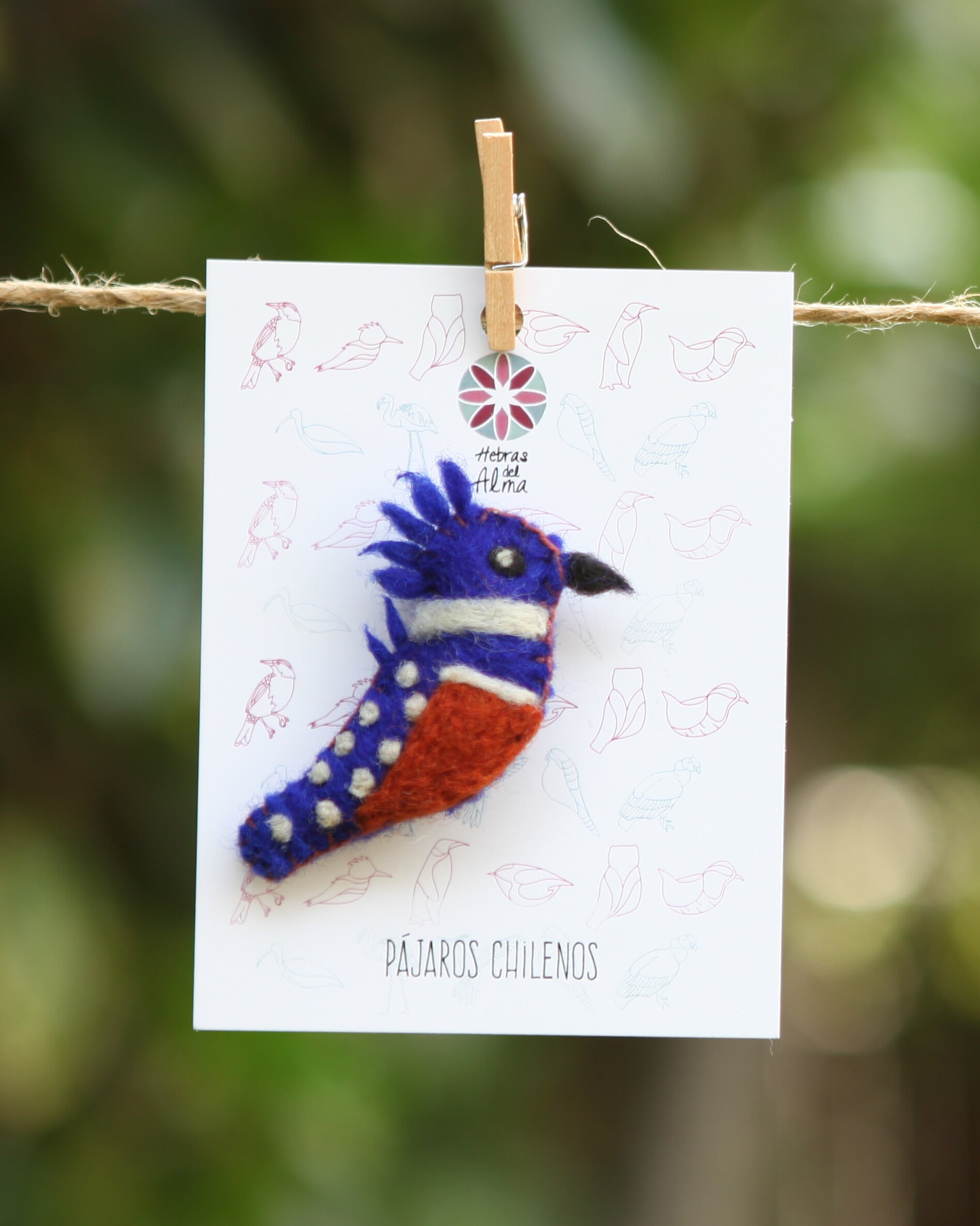Pajarito Pin Martín pescador azul