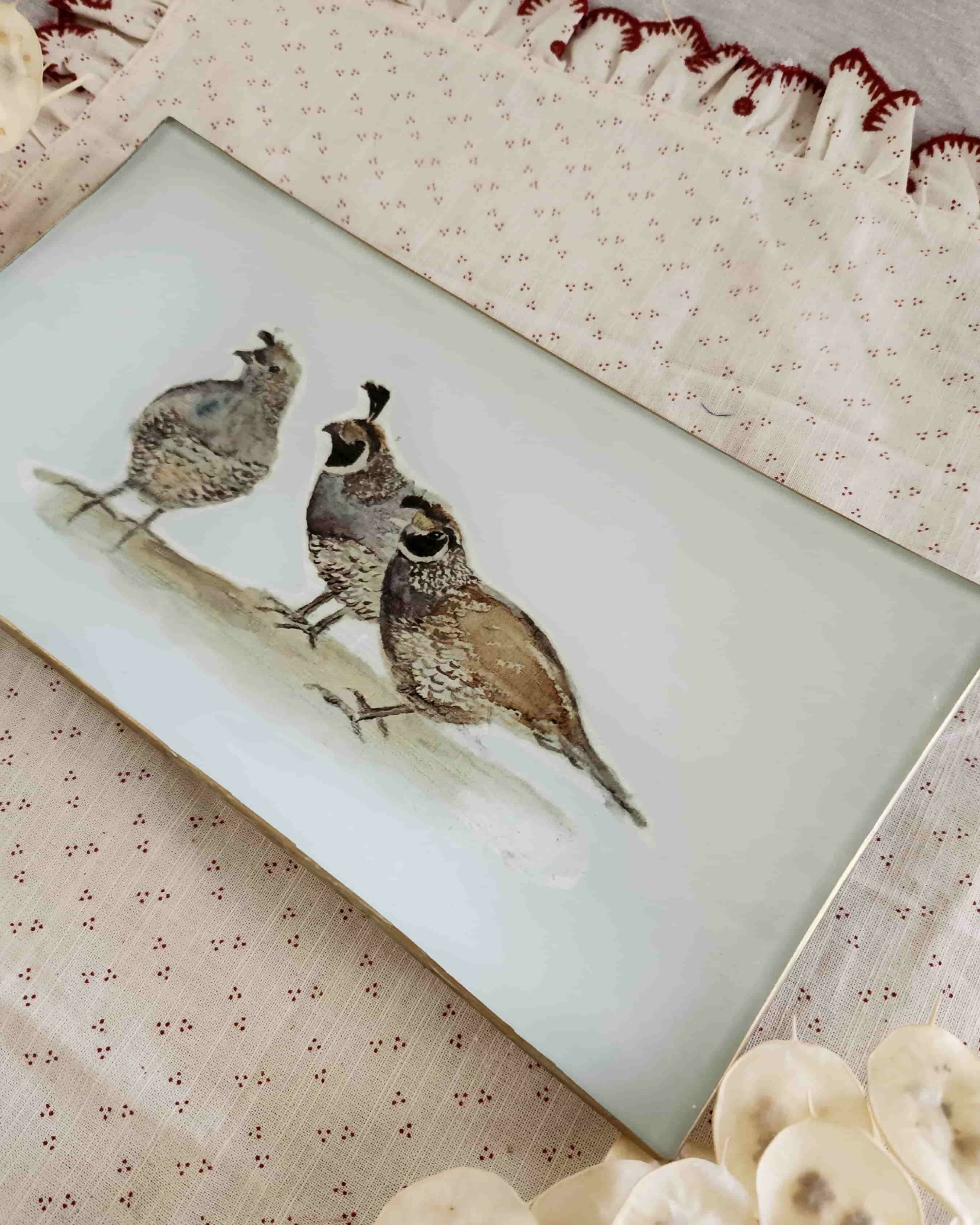 Bandeja Rectangular Codornices