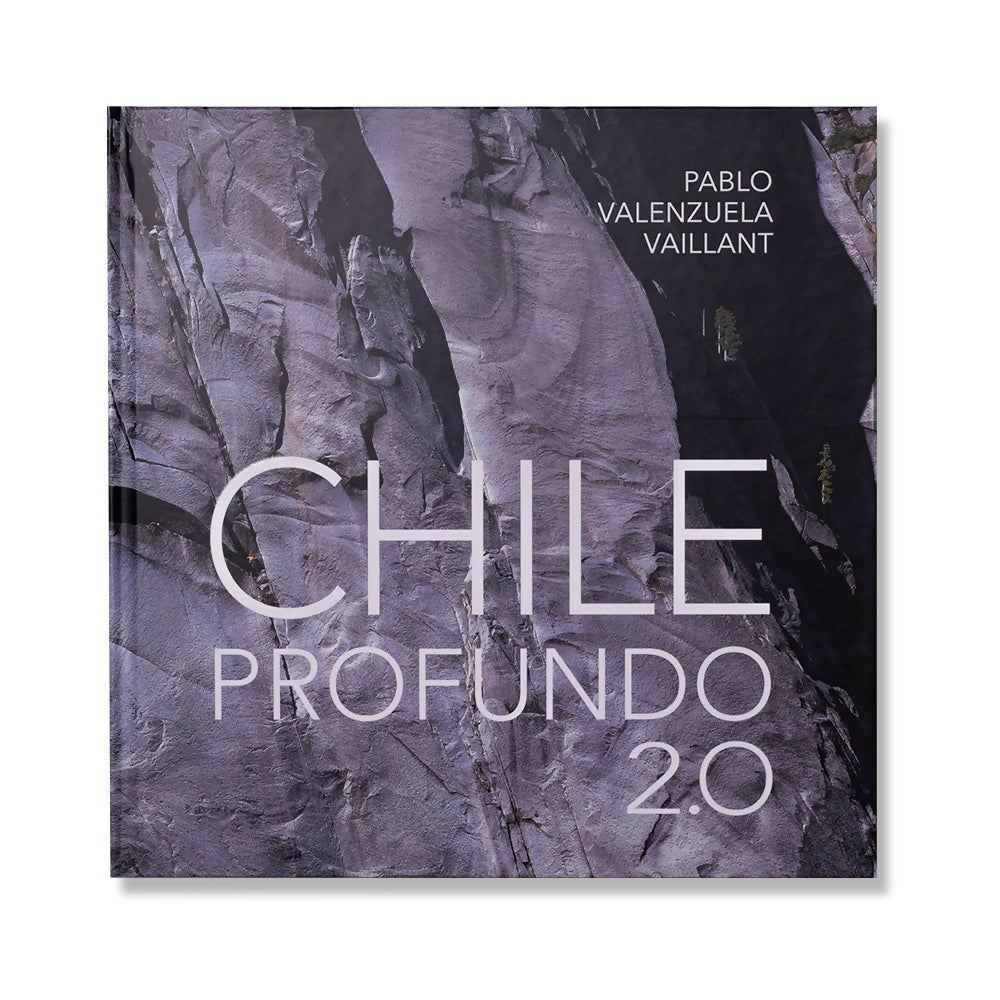 Libro Chile 2.0