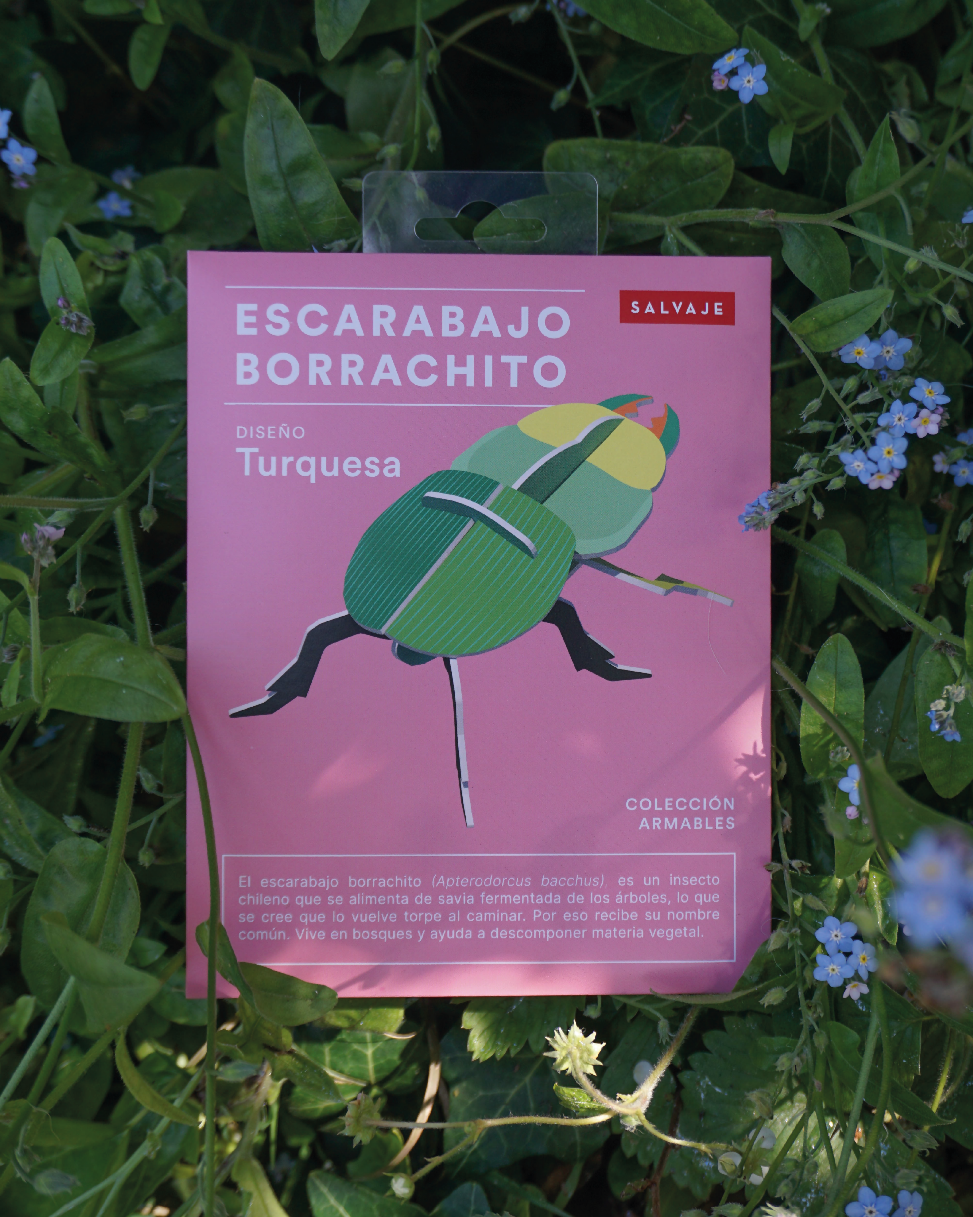 Escarabajo borrachito para armar