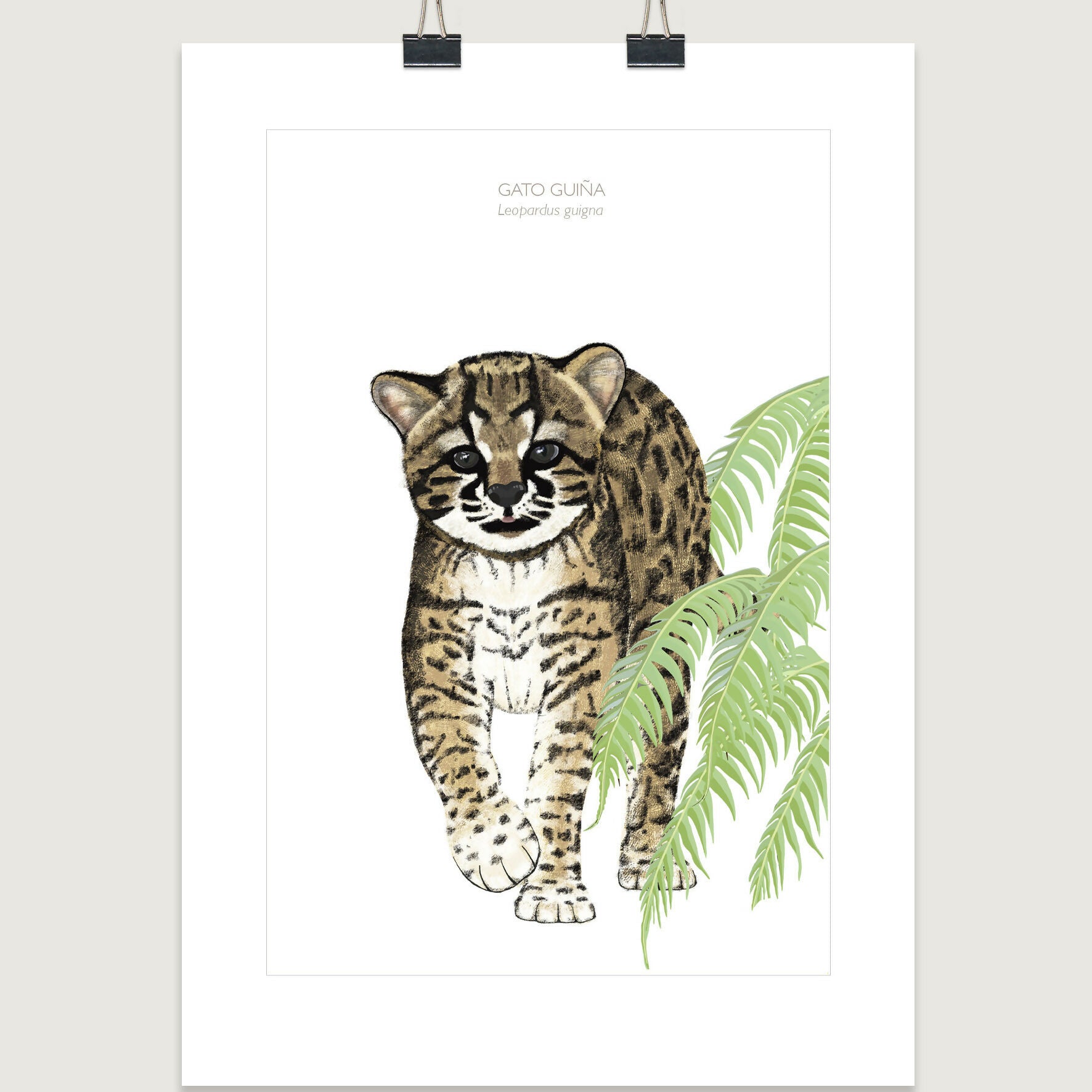 post lamina guiña 30x40