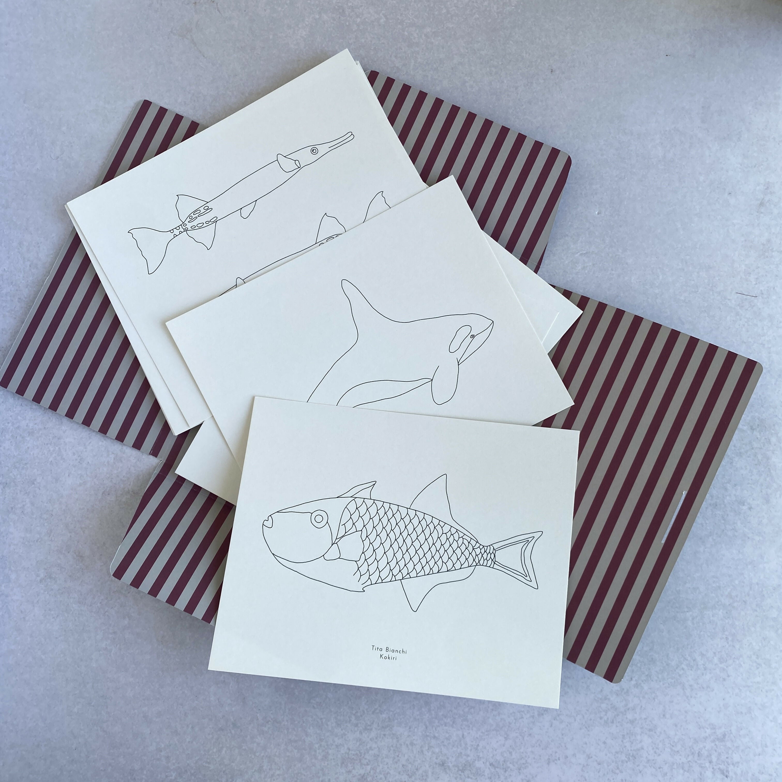 Carpeta Minke con 22 láminas para pintar