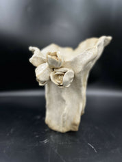 Cerámica decorativa colección primavera