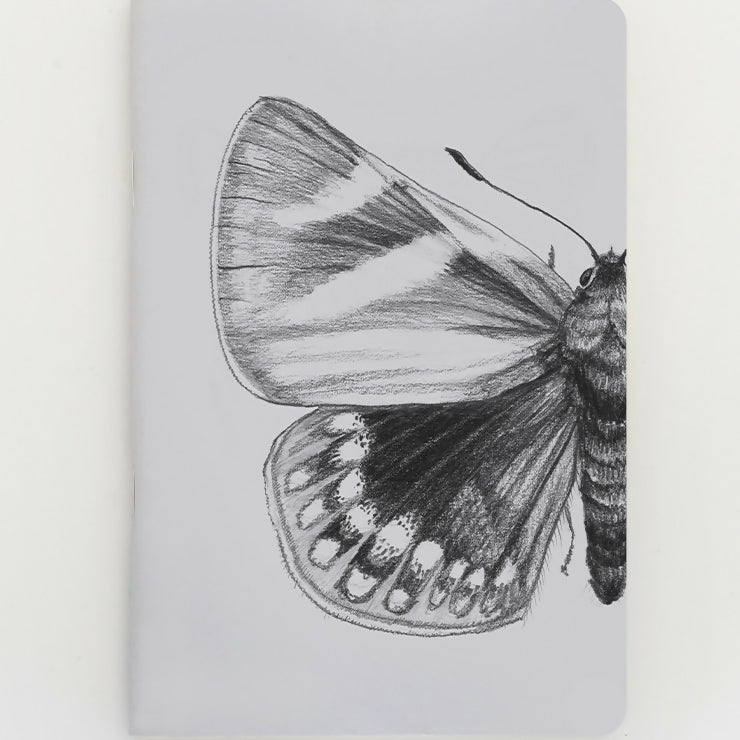 LIBRETA_00031_MAI