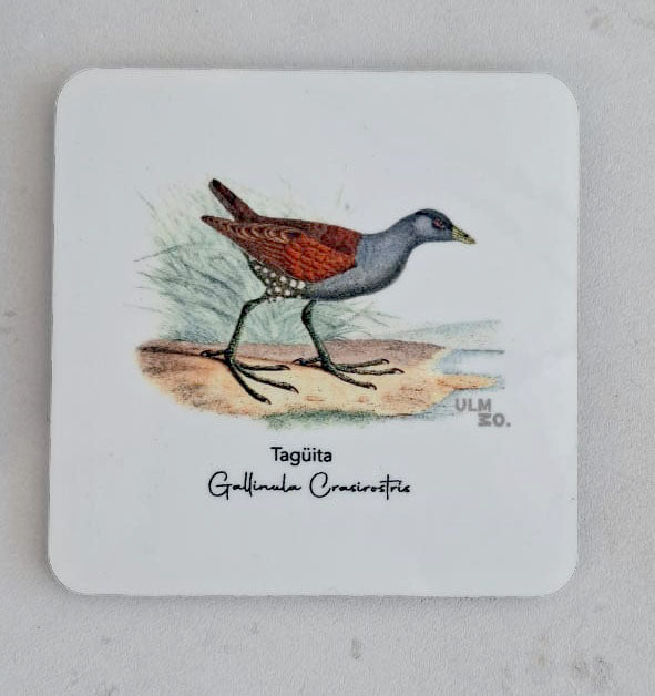 Set de 6 Posavasos Cuadrados Aves de Chile - Claudio Gay