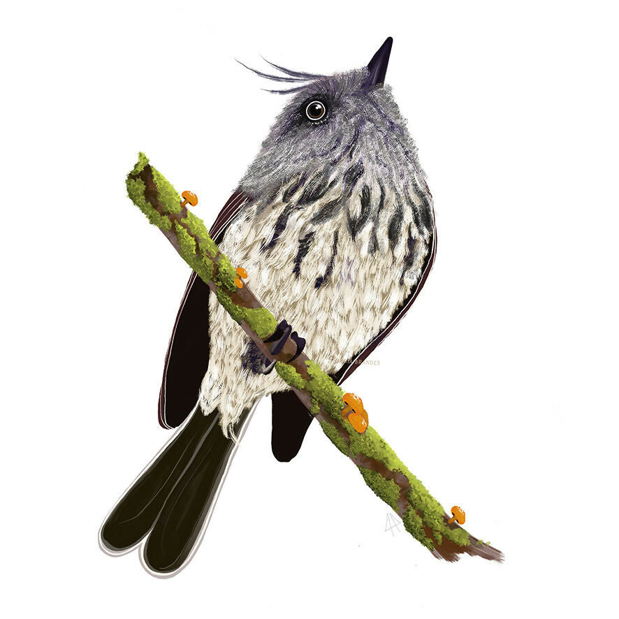 post Cachudito Juan Fernandez 1 capa copia