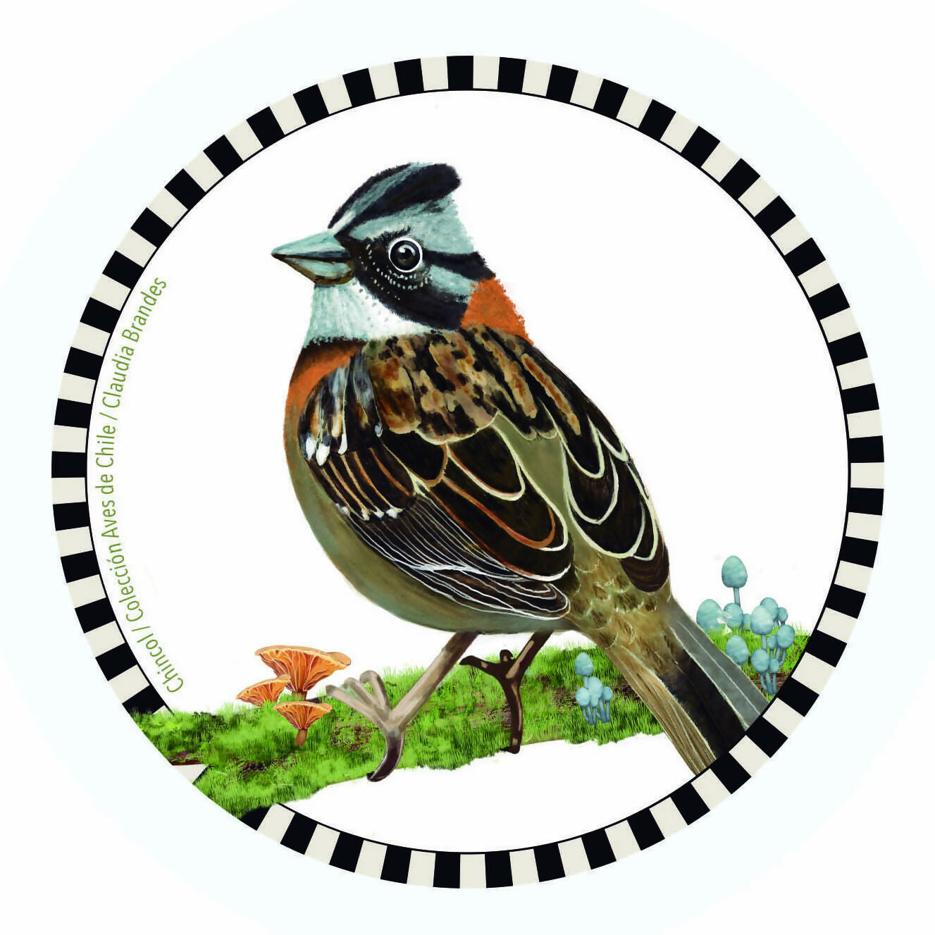 Post Chincol posavasos