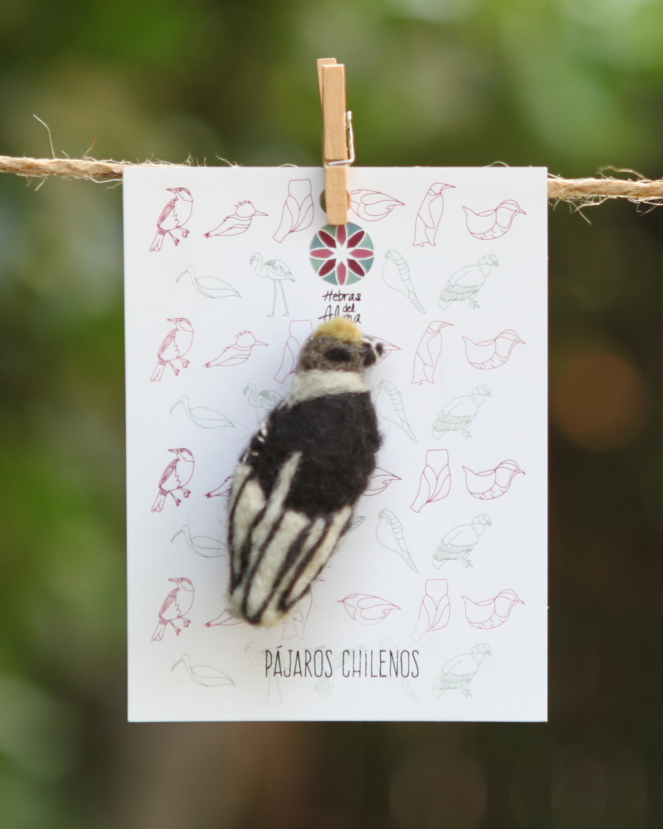 Pajarito Pin Cóndor negro