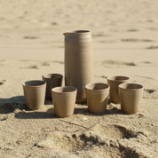 Set Pisco Sour 8 vasos