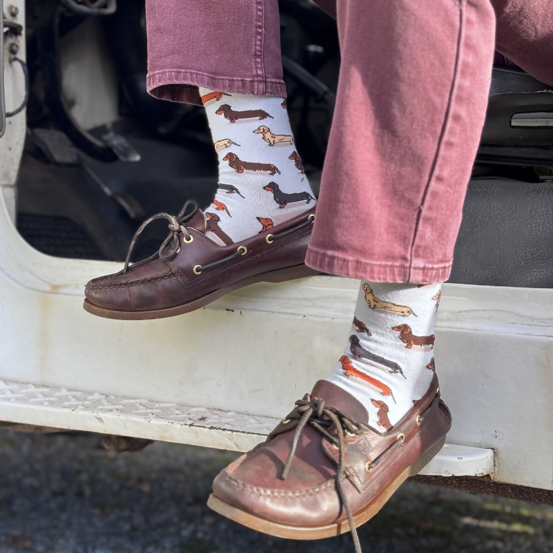 Calcetines de Perro Salchicha