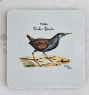 Set de 6 Posavasos Cuadrados Aves de Chile - Claudio Gay