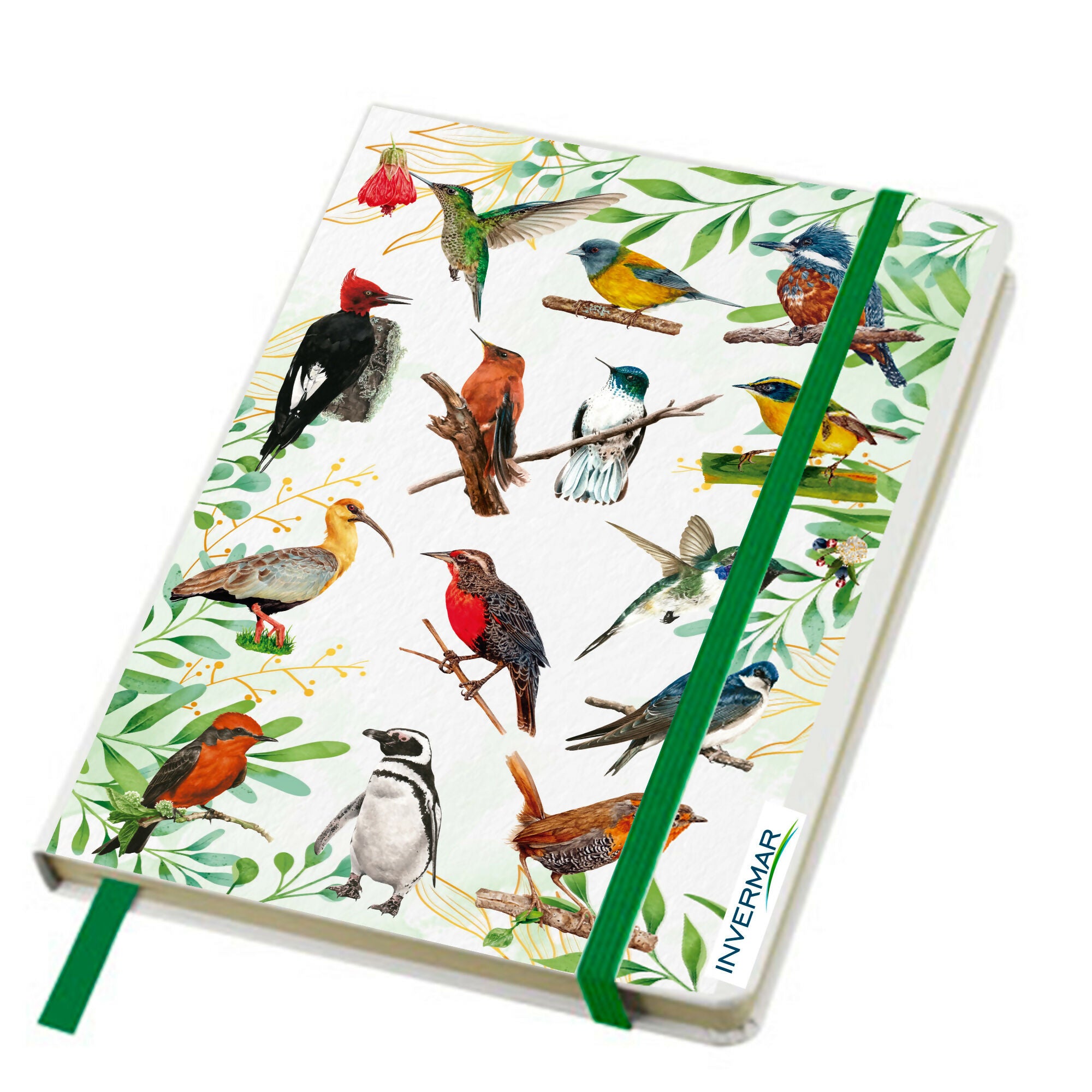 Cuaderno Aves chilenas