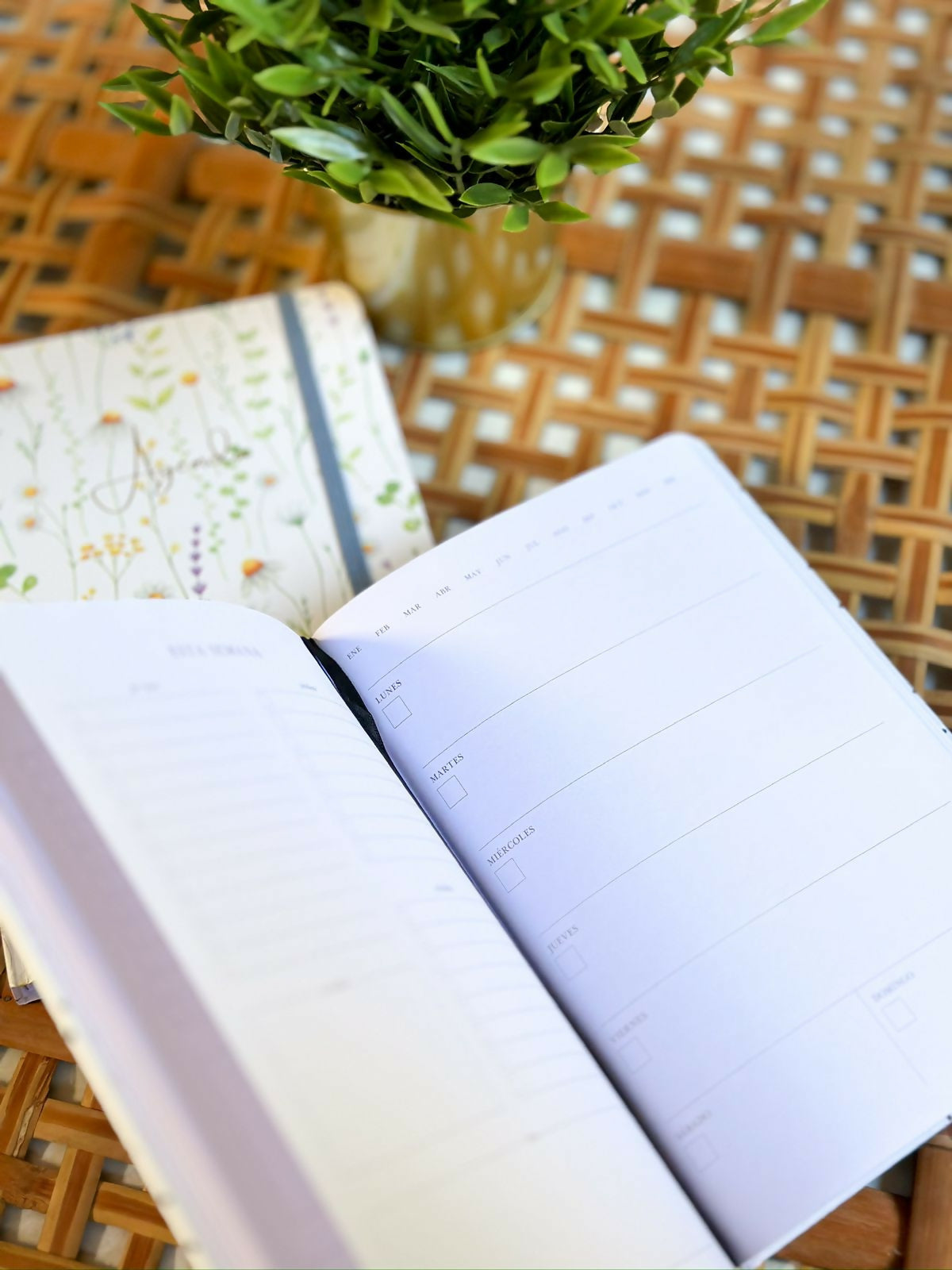 Agenda Anual con Espiral Negra