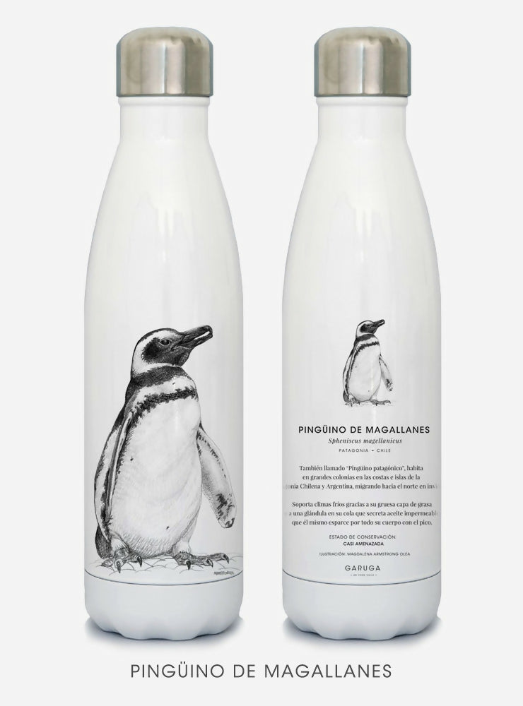Botella Pinguino
